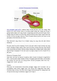 Bernapas adalah proses pengambilan o2 dari lingkungan dan pengeluaran co2 dan uap air dari dalam tubuh ke lingkungan. Doc Sistem Pernapasan Pada Katak Meirian Koko Academia Edu