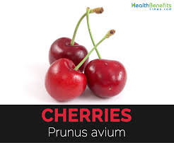 Are cherries good for you? Cherries Facts And Health Benefits