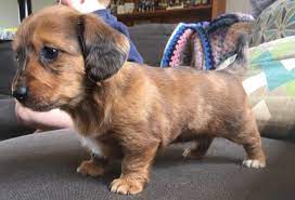 Maybe you would like to learn more about one of these? Facebook