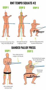 Muscles found on both the cat and human muscle model are in underlined capital letters. æ— æ ‡é¢˜ Most People Try To Build Muscle By Doing High Rep Workout Routines For Women Workout Routine Weight Training Workouts