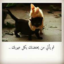 pin by inas gadalla on بيني وبينكم sweet words arabic quotes arabic words