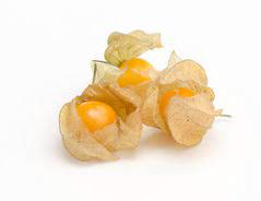 Hier im lubera shop finden sie die andenbeeren sowohl als samen wie auch als jungpflanzen. Physalis Ernte So Erkennen Sie Den Reifegrad