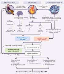 Image result for Cachexia in Cancer
