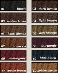 Garnier Hair Dye Colour Chart Hair Color Ideas And Styles