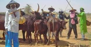 Muna gabatar da labarai daga jamus da nahiyar afirka da kuma duniya gaba daya. Dw Hausa Dw Hausa Added A New Photo Facebook