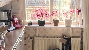 Image result for site:byggahus.se Sanova