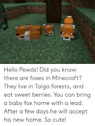 Hello Pewds Did You Know There Are Foxes In Minecraft They Live In Taiga Forests And Eat Sweet Berries You Can Bring A Baby Fox Home With A Lead After A Few