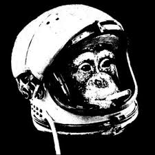 Image result for astrofonik
