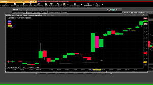 Amzn 760 Call Charts 770 Call Charts Trading Options 300 Gain