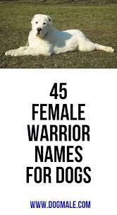 Here`s the list of the best dog names for true protective breeds. Pin On When I Needed A Hand I Found Your Paw