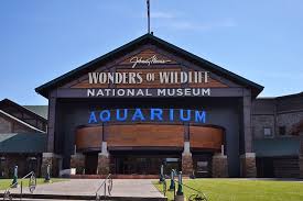 Browse our vacation packages, cheap airline tickets, and hotel deals to cities like. 10 Top Rated Attractions Things To Do In Springfield Mo Planetware