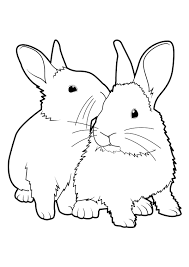 Epingle Par Lisa Yang Sur Sanat Coloriage Lapin Coloriage Animaux Coloriage