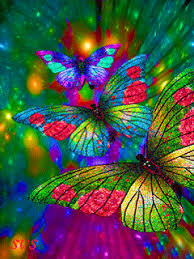 Butterfly Gif Art Butterfly Pictures Butterfly Art Beautiful Butterflies