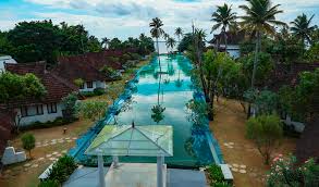 However, it encourages you to collect $1,000 to cash out without waiting! Virus Hit Indian Resort Turns Pool Into Fish Farm Arab News