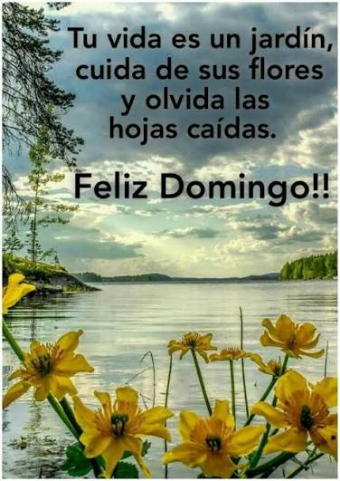 Descubre 34 ideas de Domingo y frases de domingo | feliz domingo bendiciones, feliz y bendecido domingo, feliz domingo frases y más