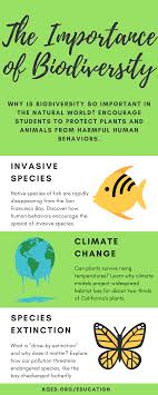 The Importance Of Biodiversity Ecological And Habitat Diversity Is Critical To The Survival Of Humans In This C Biodiversity Human Behavior Invasive Species