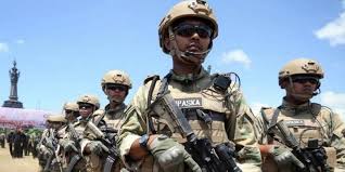 We did not find results for: Mengenal 6 Pasukan Elite Dalam Jajaran Tni Halaman All Kompas Com