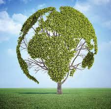 Atividades de produção de texto individual ou confecção de lembrancinhas; 05 De Junho Dia Mundial Do Meio Ambiente Brasil Escola