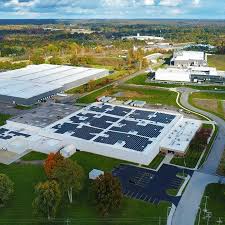 Image result for Viridivia