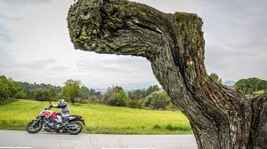 Após realização de consultas nos sistemas da prf, os policiais descobriram que havia um mandado de prisão, aguardando cumprimento, em. Honda Nc750x Dtc Prueba Fotos Precio Y Ficha Tecnica