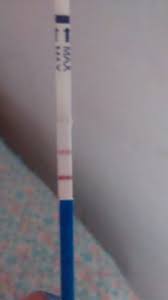 Fiz O Teste Deu Positivo Sera Que E Gravidez Teste De Gravidez Teste De Gravidez Positivo Teste Gravidez
