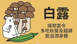 最近感受到夜晚的涼意了嗎 見到 白露 就代表秋天來了 農民曆的節氣以白露 國曆9月7 9日左右 做為典型的秋天氣候 氣溫下降速度快 夜間的冷涼讓水氣凝結成晶瑩剔透的白色露珠 故稱白露 health