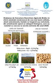 Oficiul poştal brăila 10 din braila va sta la dispozitie cu programul de lucru, orar si alte detalii de contact. La Scda Braila Se Lucreaza Intensiv Pentru A Va Oferi Samanta De Cea Mai Buna Calitate Agrimanet