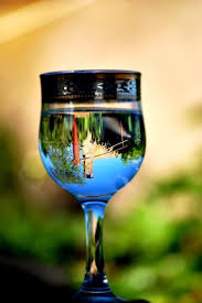 Refraction Of Light In Water Refraction Of Light Wine Glass Amazing Photography