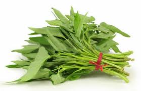 Hasil gambar untuk gizi yang terkandung dalam sayur kangkung