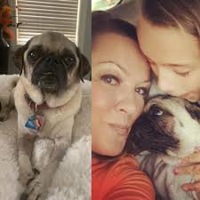 5th birthday and 4th gotcha day celebration