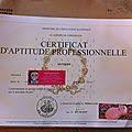 Cap Patissier Candidat Libre Mode D Emploi Questions Sur L Examen Pratique Up2 Fabrication De Patisseries Maj N 1 Rose Cook Cap Patissier Patissiere Blog Recette