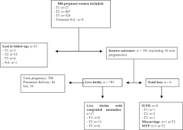 Ce n'était pas ma décision. Pharmacovigilance Monitoring Of A Cohort Of Pregnant Women Vaccinated Against Influenza A H1n1 Variant Virus In The Nord Pas De Calais Region Of Northern France European Journal Of Obstetrics And Gynecology And Reproductive