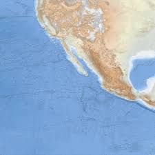 Image result for Hypericophyllum elatum