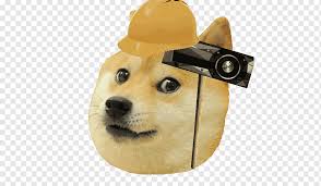 How to identify a shiba inu. Shiba Inu Doge Snake Test Game Meme Others Carnivoran Dog Like Mammal Dog Breed Png Pngwing