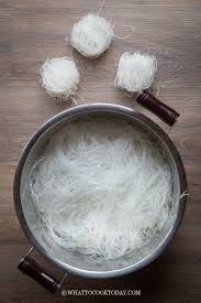 Hirisan daun sup/daun bawang serta sambal. Soun Goreng Fried Tang Hoon Bean Thread Noodles Stir Fry What To Cook Today