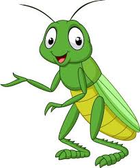 Its resolution is 1024x1855 and it is transparent background and png format. 1 031 Cricket Insect Stock Illustrations 883774 Png Images Pngio