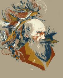 Teaganwhite S Deviantart Gallery Illustration Art Illustration Design