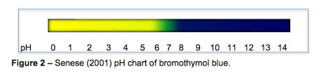 The Effect Of Hyperventilating And Rebreathing On