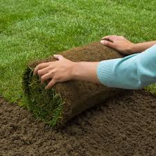 Gazon Naturel En Rouleau X 1m2 Gazon En Rouleau Pelouse En Rouleau Gazon Naturel En Rouleau