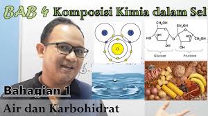 Sel volta merupakan sel yang mengubah energi kimia jadi energi listrik. Kssm Bio Ting 4 Bab 4 Komposisi Kimia Dalam Sel Part 1 Air Karbohidrat Youtube
