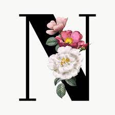 Classic And Elegant Floral Alphabet Font Letter N Transparent Png Free Image By Rawpixel Com Manota Lettering Fonts Fonts Alphabet Lettering Alphabet Fonts