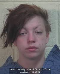 High-speed pursuit of stolen car nets multiple offenses, 2 go to jail