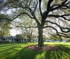 The Masters Golf 2010 Ranking All 18 Holes At Augusta National Golf Courses Golf Course Photography Golf Photography