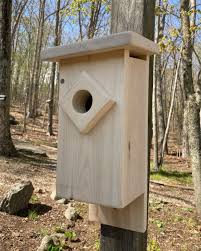 Making a butterfly house for the garden is an easy weekend project that requires just a few pieces of wood and some common. Butterfly House Plans How To Build A Butterfly House Feltmagnet