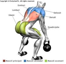 Dorsali Muscoli Utilizzati Per Allenamento Stacchi 2 Kettlebell Allenamento Kettlebell Allenamento Potenziamento Della Muscolatura