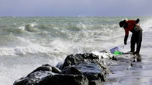 Fewer Fish and More Algae? Scientists Seek to Understand Impacts of  Historic Lack of Great Lakes Ice | Chicago News | WTTW