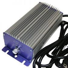 Check spelling or type a new query. Lec Grow Lights For Indoor Grows Types And Benefits