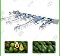 Fruit Avocado Sorting Machine Line by Weight - Fruit ...