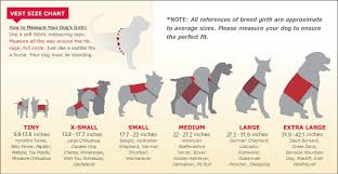 34 Credible Miniature Australian Shepherd Size Chart