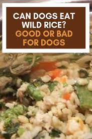 Can Dogs Eat Wild Rice Good Or Bad For Dogs Wild Rice Recipes Dog Food Recipes Can Dogs Eat
